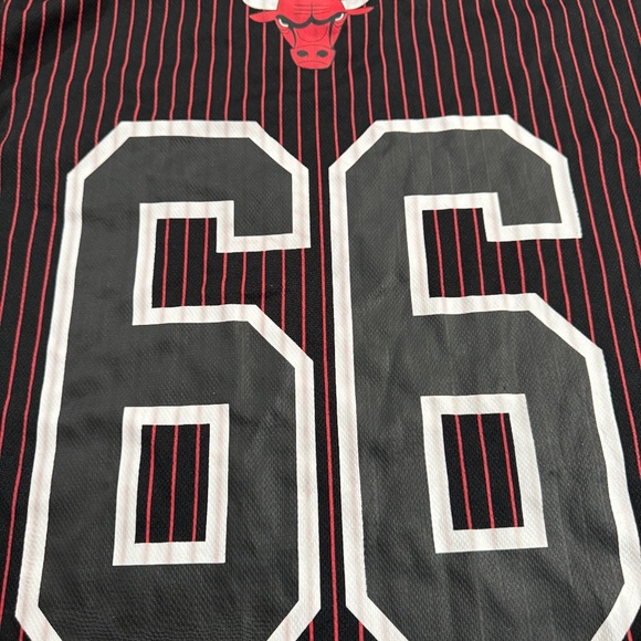 Vintage NBA Chicago Bulls #66 pullover Jersey Pinstripe Mens Large L by U - Picture 5 of 5